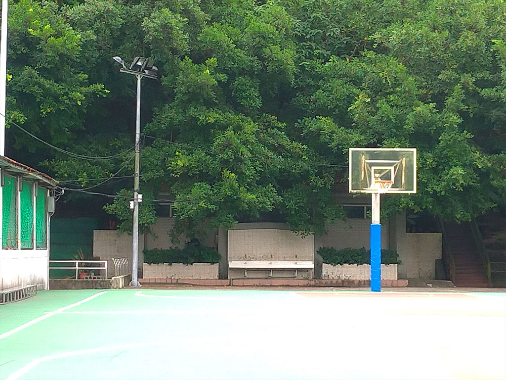 三峽鳶山運動公園現場照片