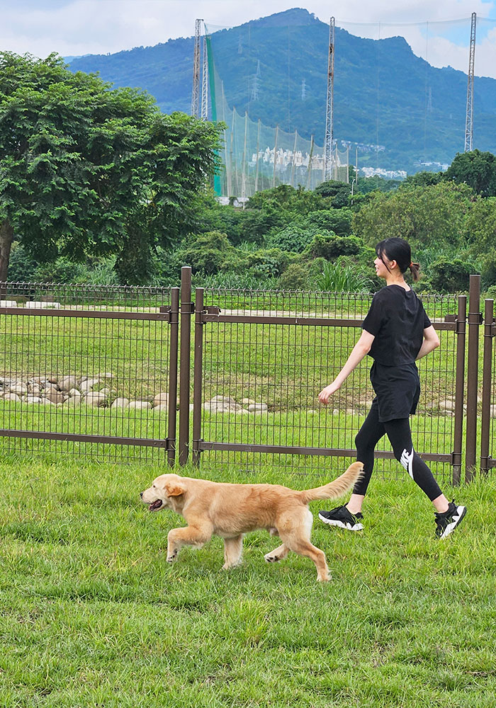 新店親情河濱公園