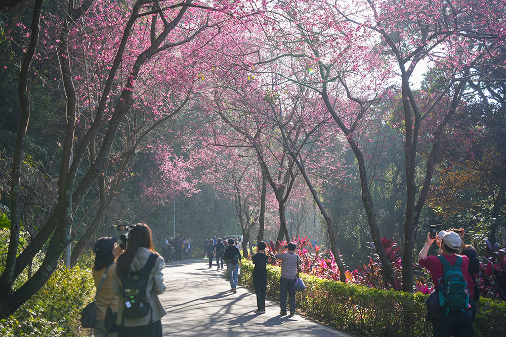 石碇二格山照片