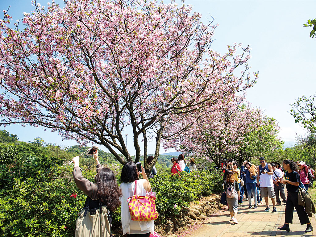 三芝三生步道現場照片1