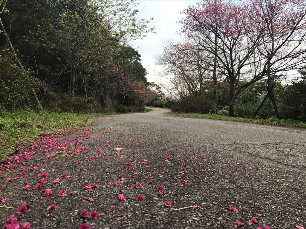 石碇二格山照片