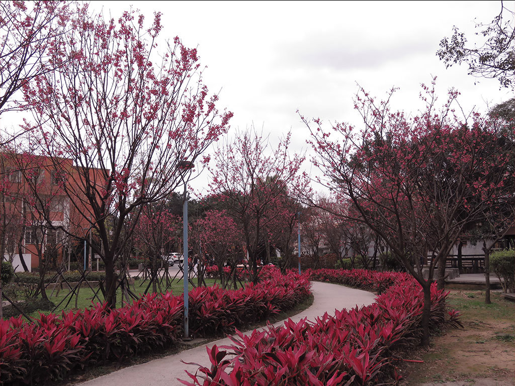 金山中山溫泉公園現場照片一