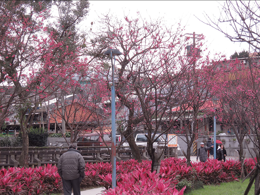 金山中山溫泉公園現場照片二