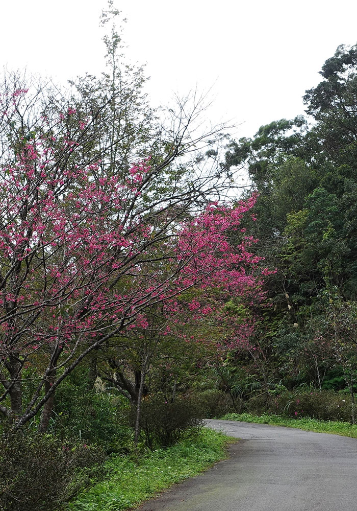 石碇二格道路