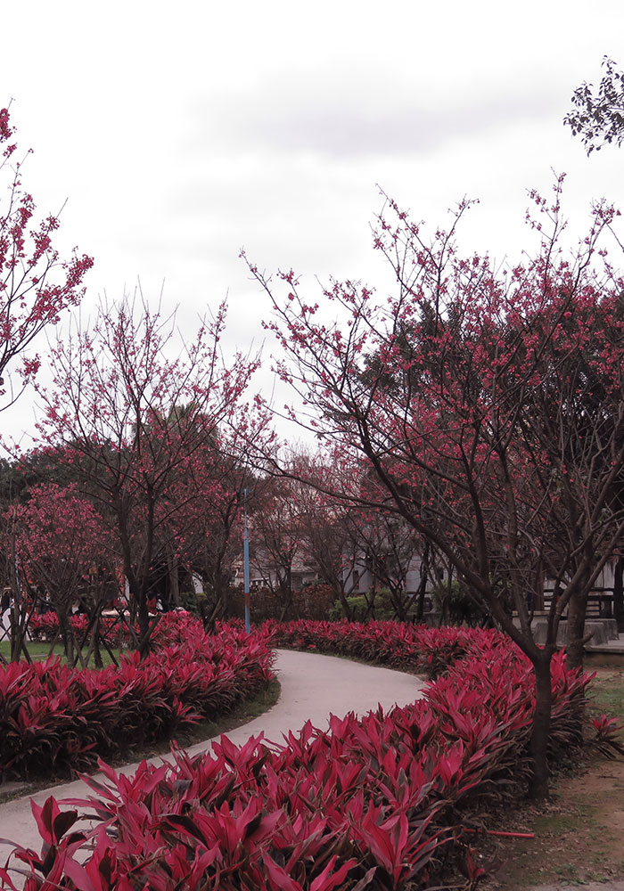 金山中山公園