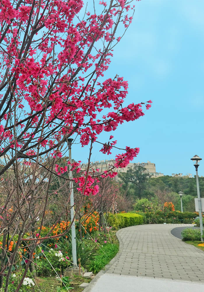 鶯歌永吉公園